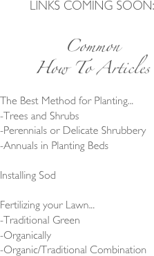 LINKS COMING SOON:

Common 
How To Articles

The Best Method for Planting...
-Trees and Shrubs
-Perennials or Delicate Shrubbery
-Annuals in Planting Beds

Installing Sod

Fertilizing your Lawn...
-Traditional Green
-Organically
-Organic/Traditional Combination

